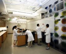 Minnich Laboratory, Caltech