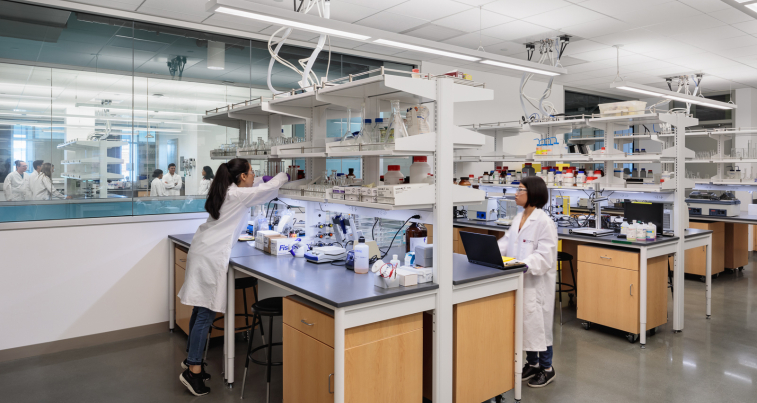 Laboratory