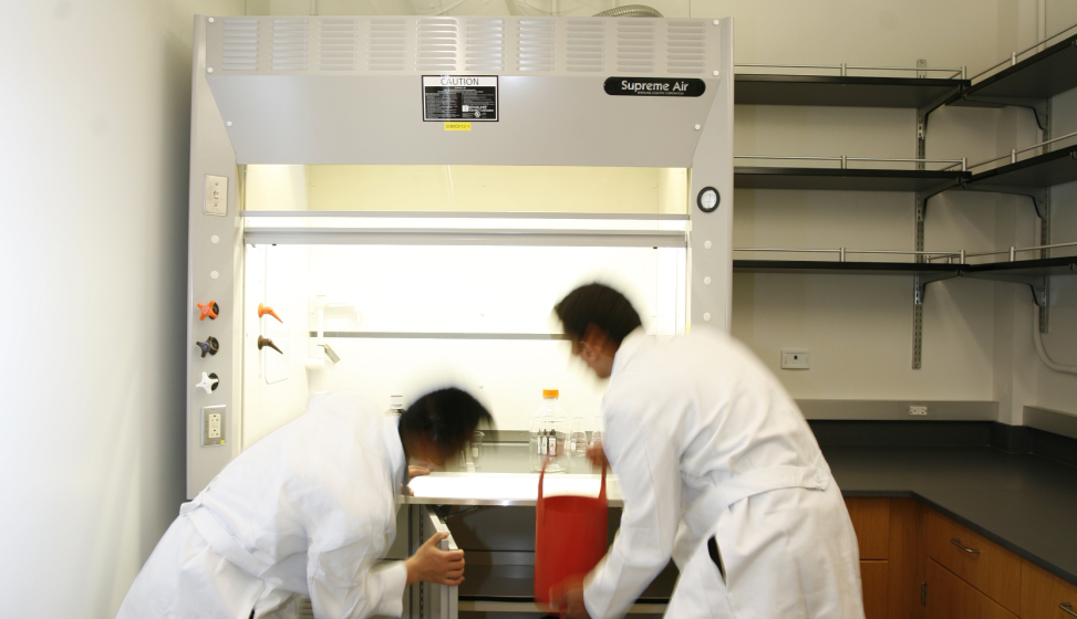 Caltech supplementary essay image