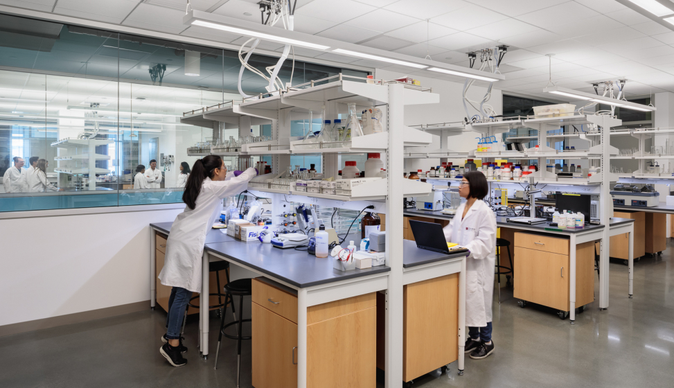 Laboratory